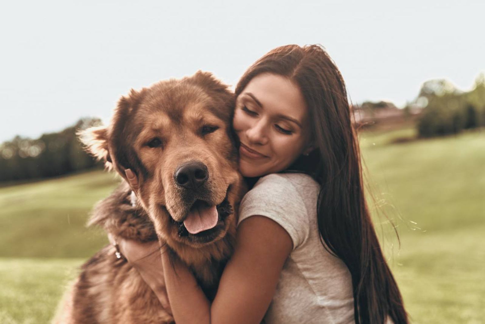 Va a estar condicionado por la propia personalidad del perro, sus experiencias e historias.