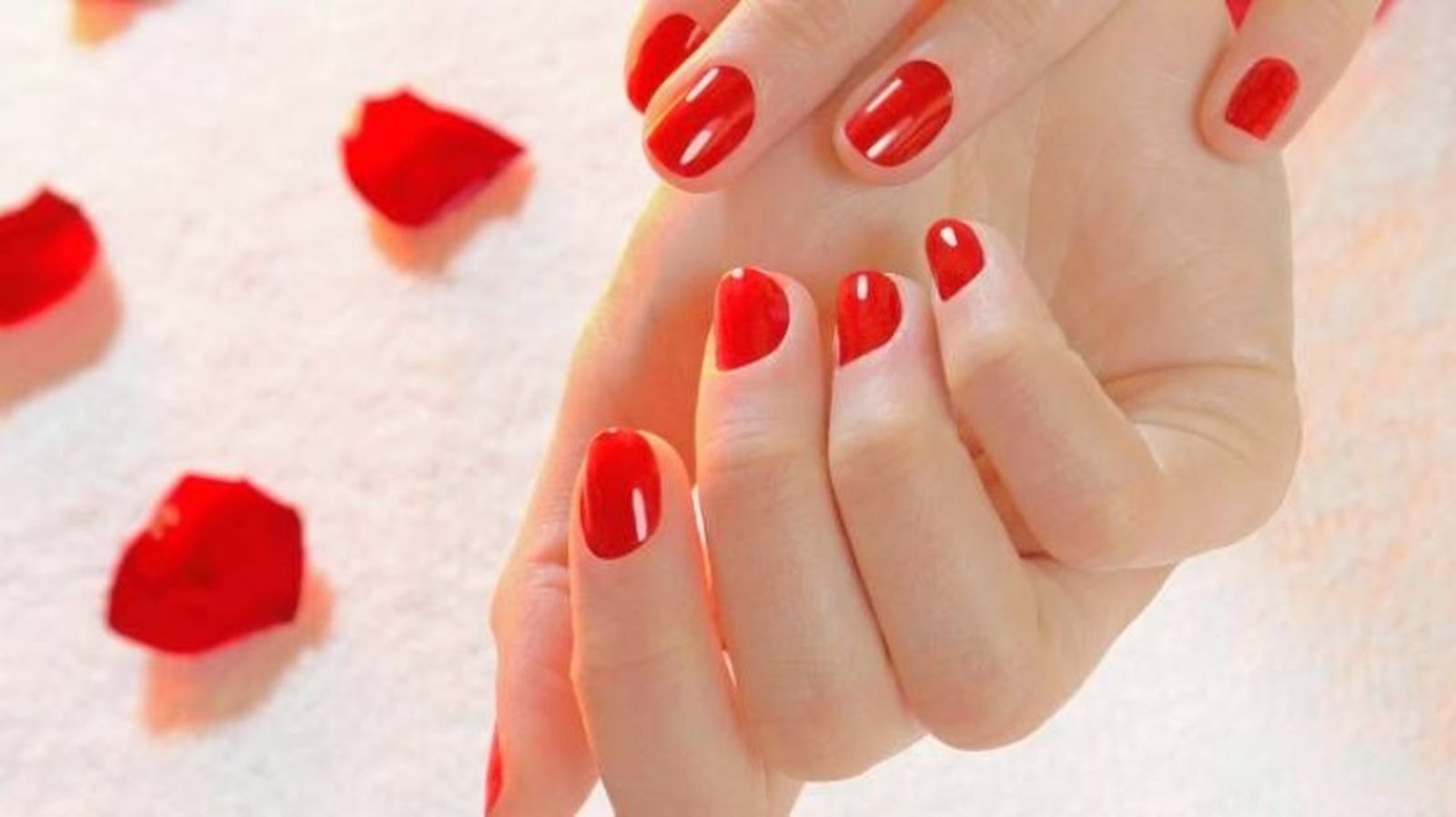El rojo simboliza entre otras cosas, amor y pasión El rojo simboliza entre otras cosas, amor y pasión