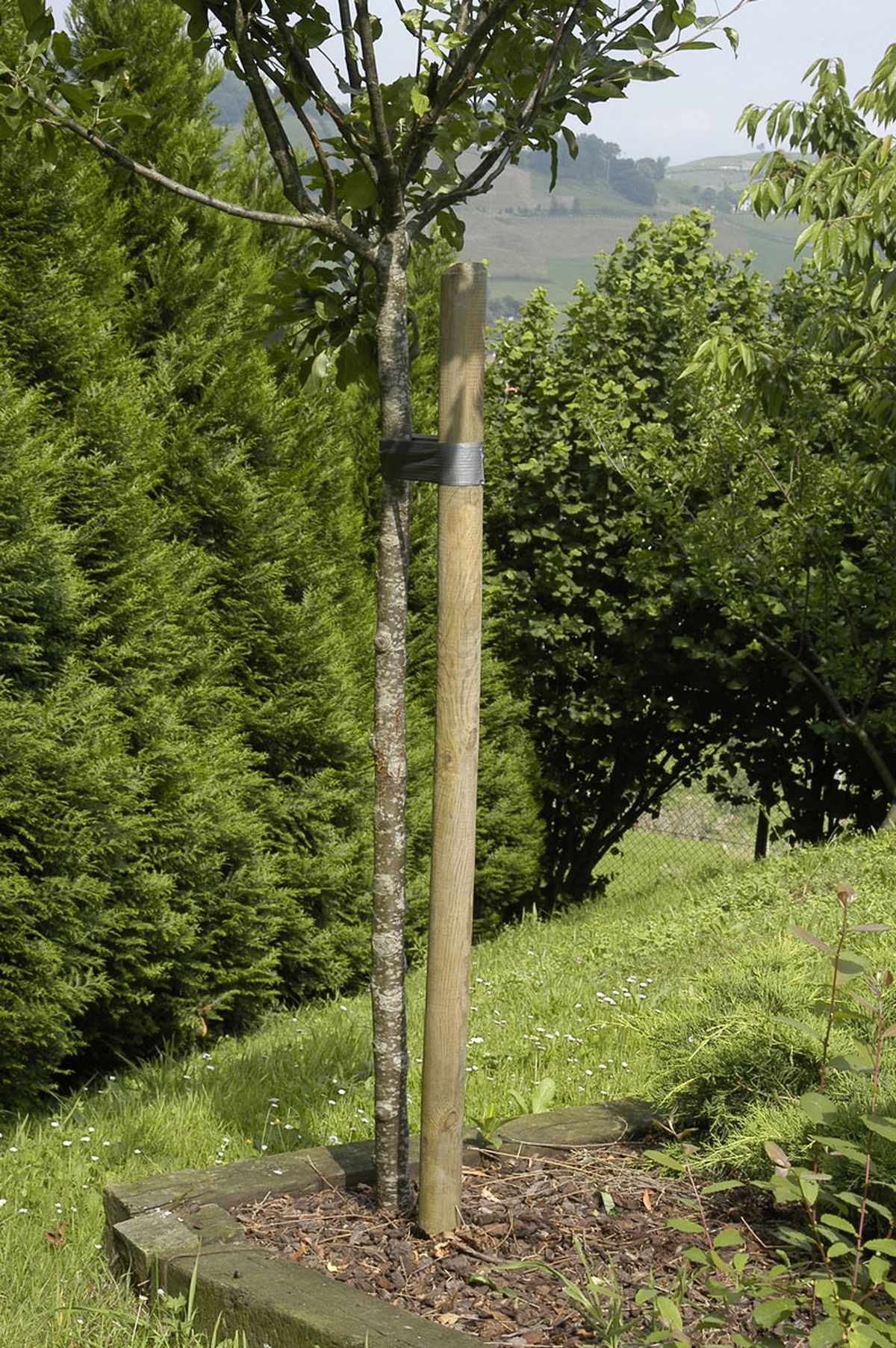 Revoco bituminoso paso 6