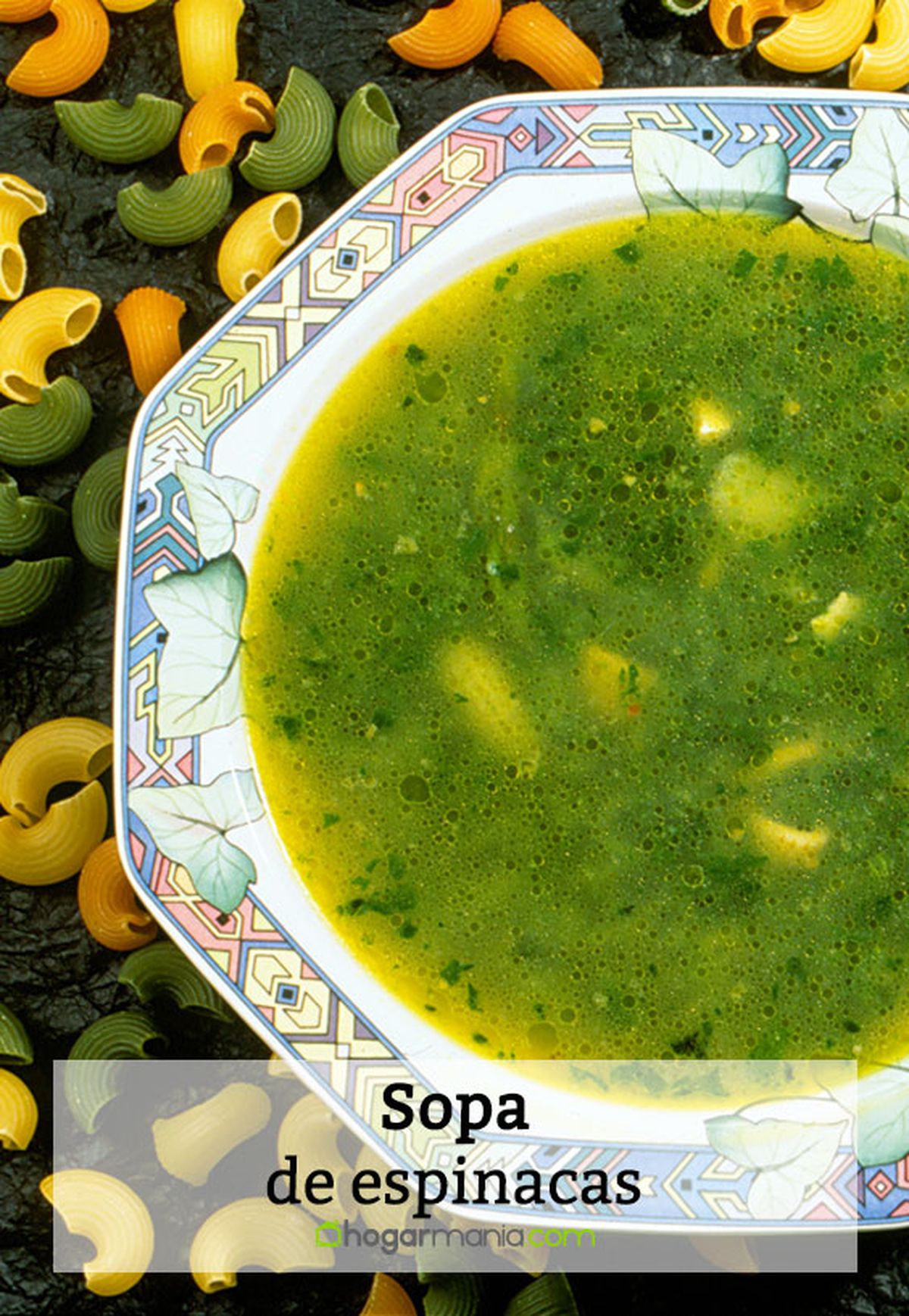 027 1 sopa espinacas pin