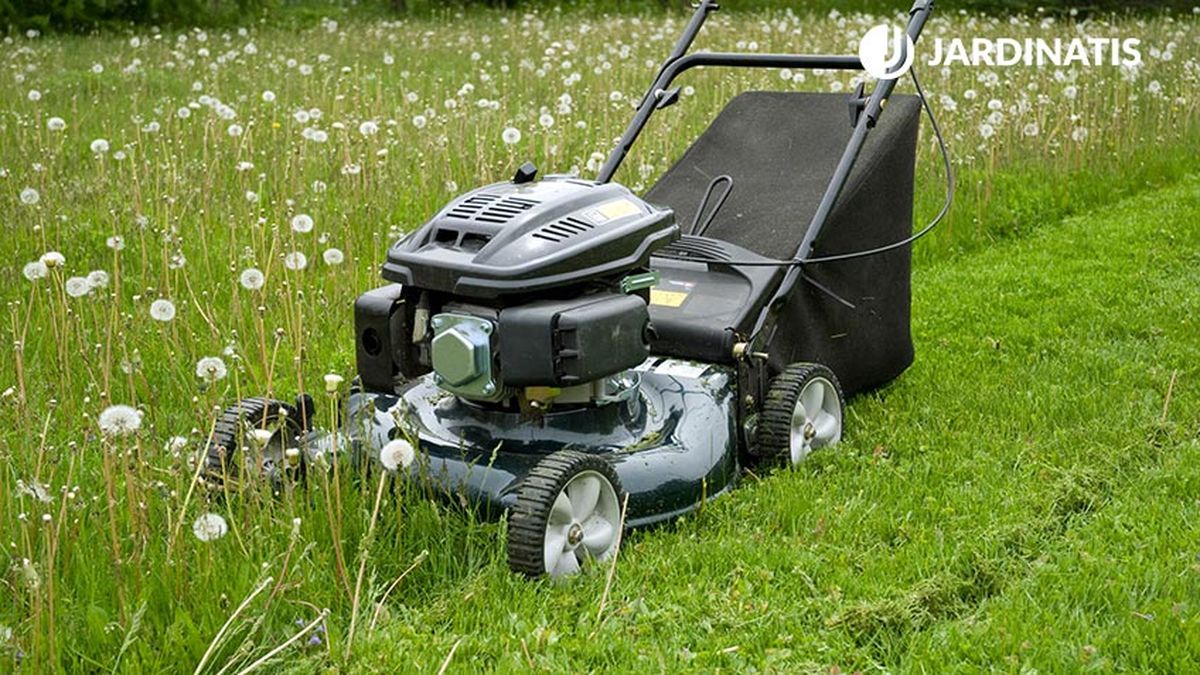 cuidados cesped durante primavera xl