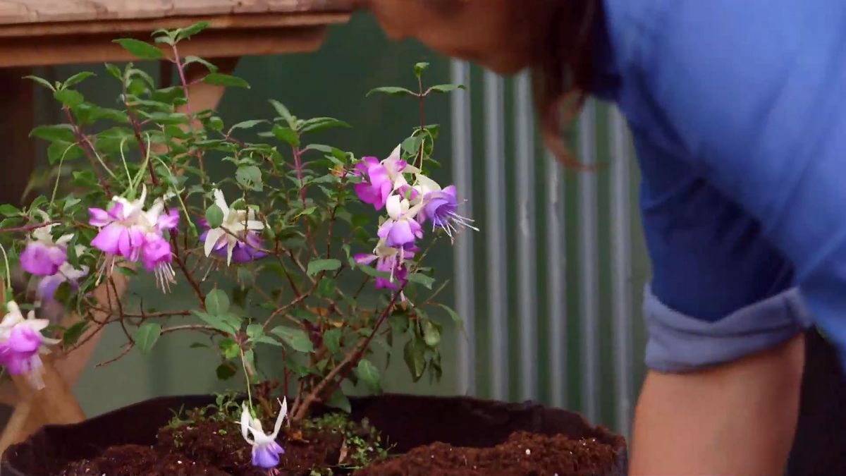 brico 0927 3 jardinera tela paso 5