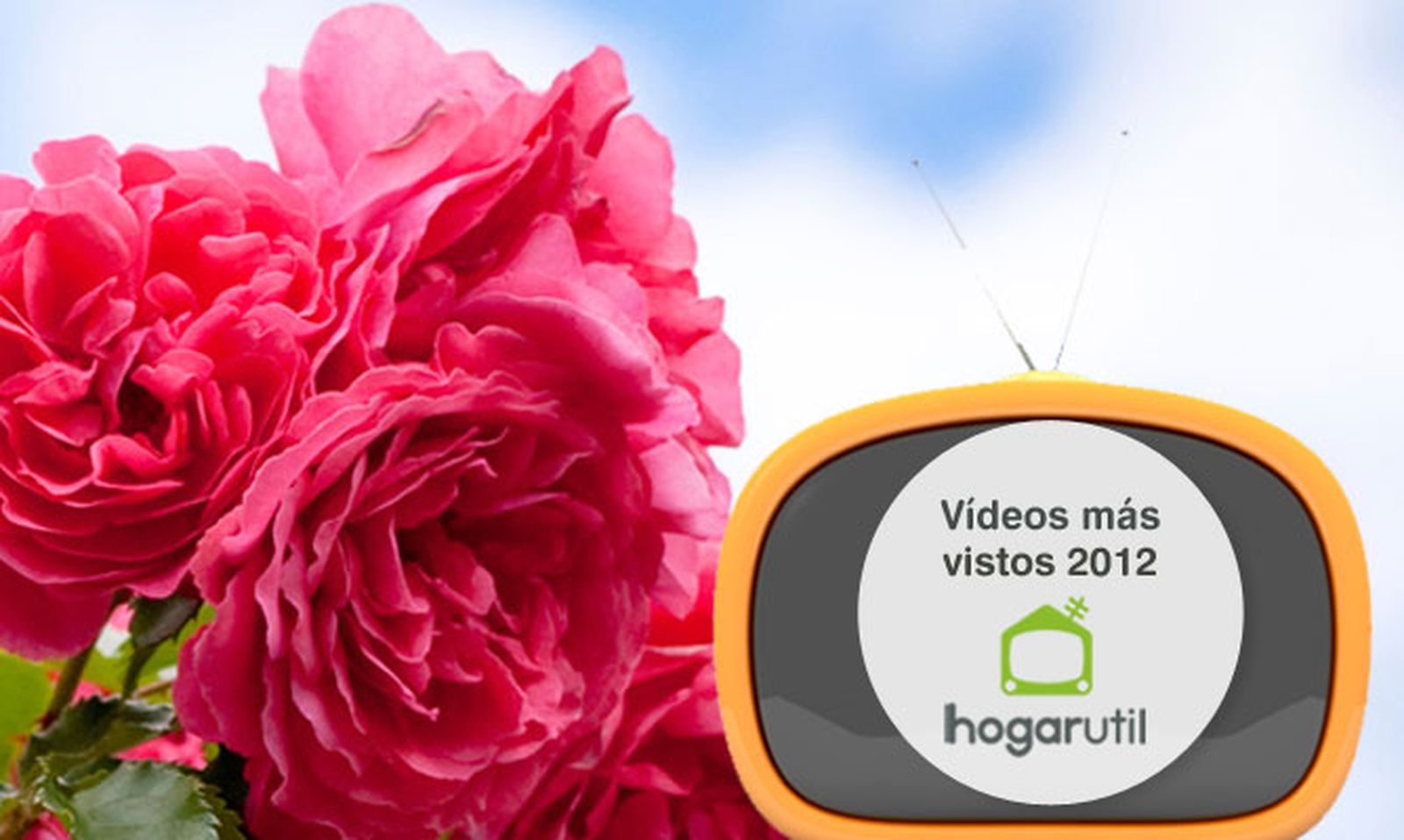 videos mas vistos jardineria