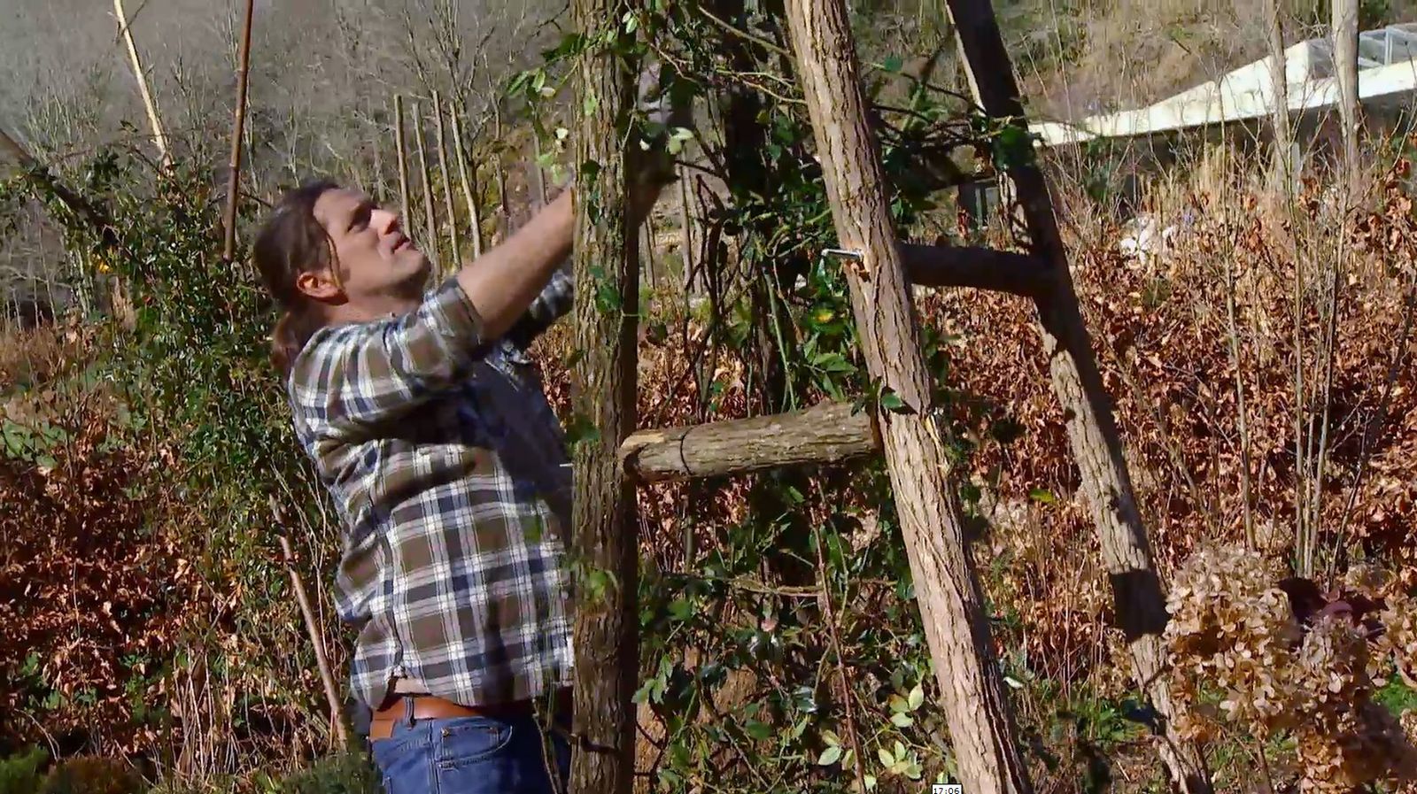 Hacer una estructura para un rosal trepador paso 3 Hacer una estructura para un rosal trepador paso 3