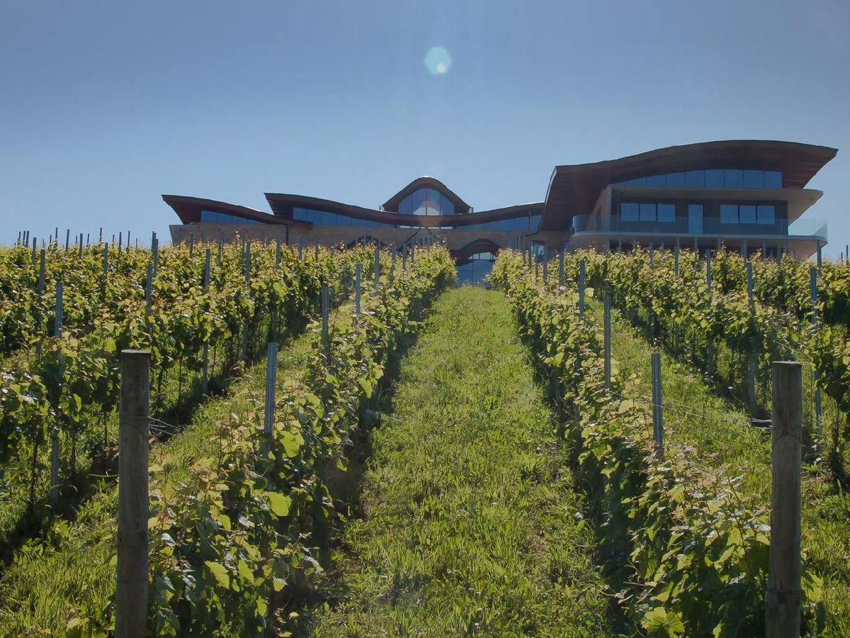 Hika Bodega despliega siete hectáreas de viñedo