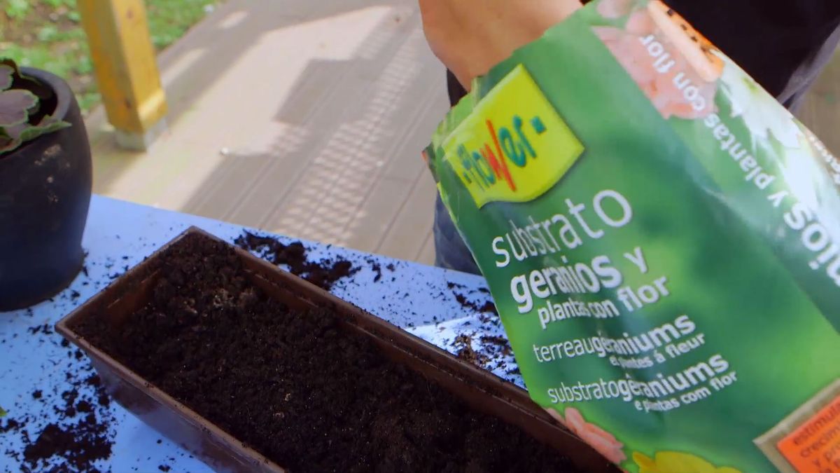 brico 0907 3 geranios para balcon paso 2