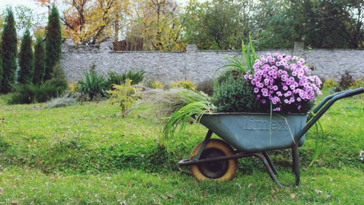 reutilizar carretilla como jardinera con flores