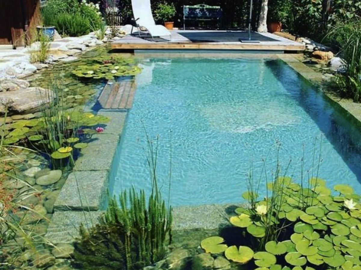 Piscina ecológica