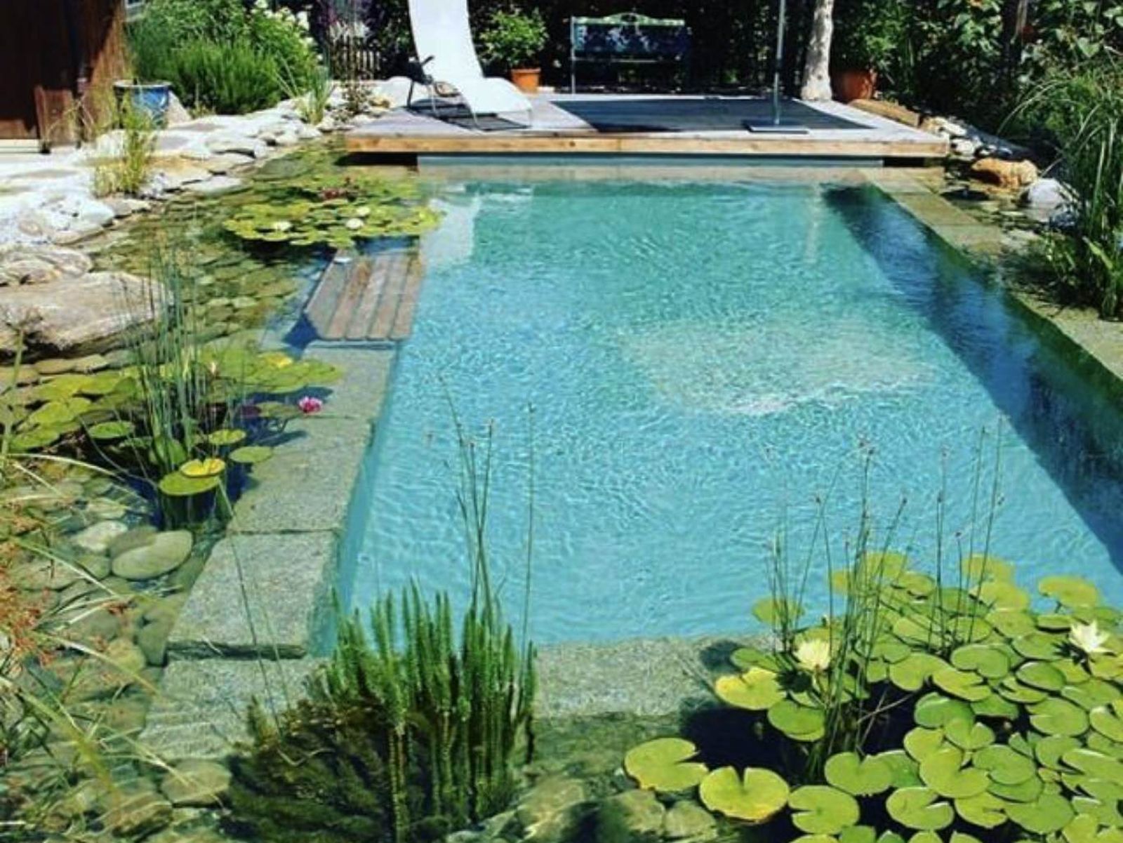 Piscina ecológica Piscina ecológica