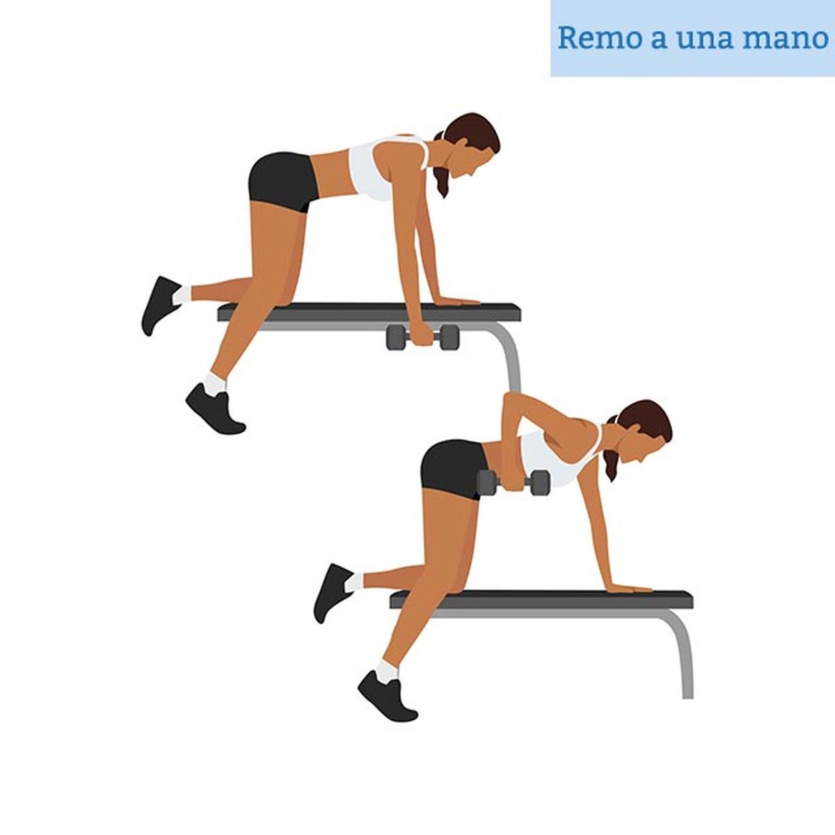 los mejores ejercicios con mancuernas para tonificar brazos en casa remo una mano