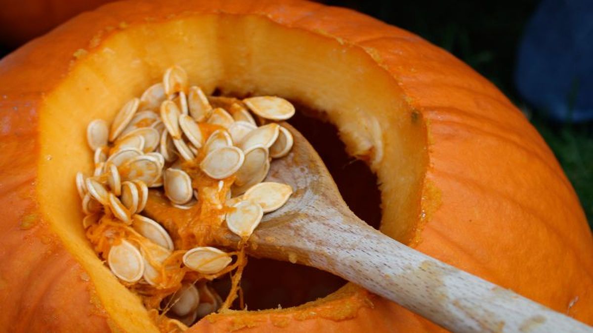 Semillas de calabaza