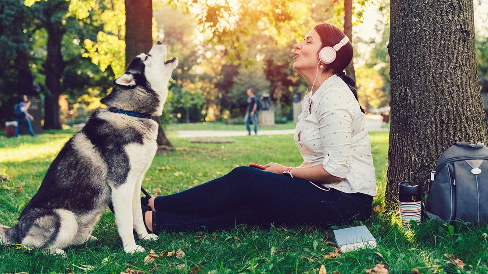 afecta musica mascotas 1 afecta musica mascotas 1