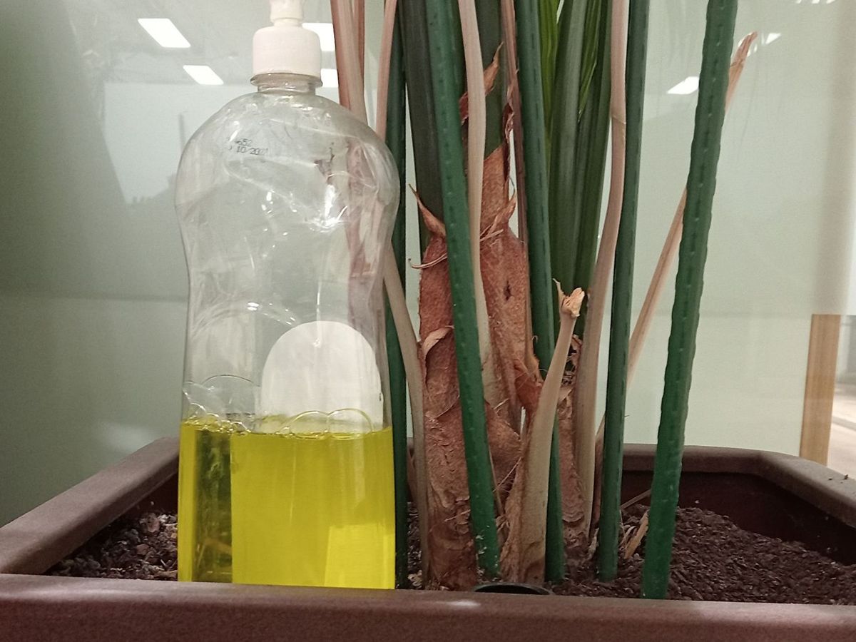 Puedes usar detergentes similares al Fairy.