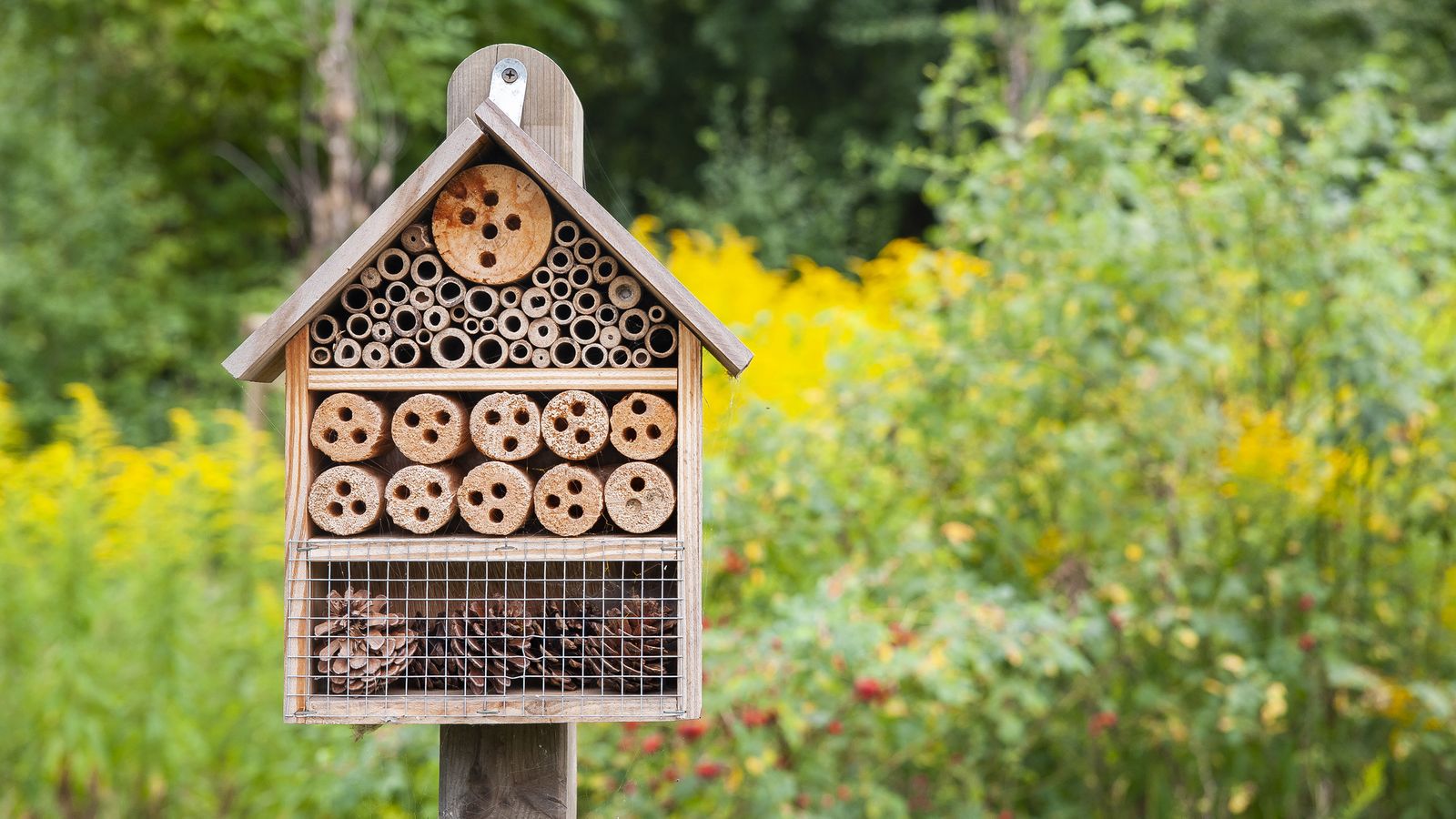 Si queremos un jardín con biodiversidad necesitamos plantas