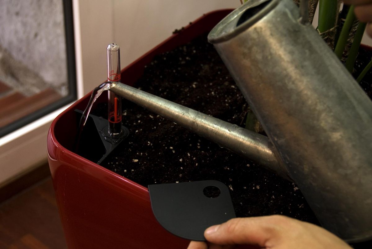 deko 276 decorar salon kentia detalle hidrojardinera