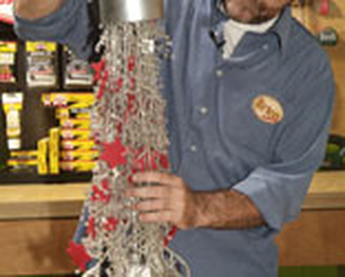 436(85) Abeto paraguas paso22