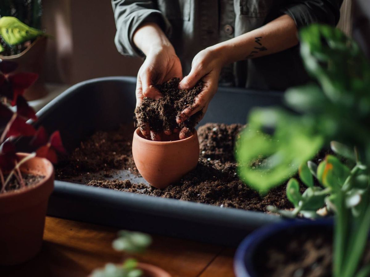 Este truco del jabón es perfecto para aquellos que prefieren trabajar directamente con la tierra.