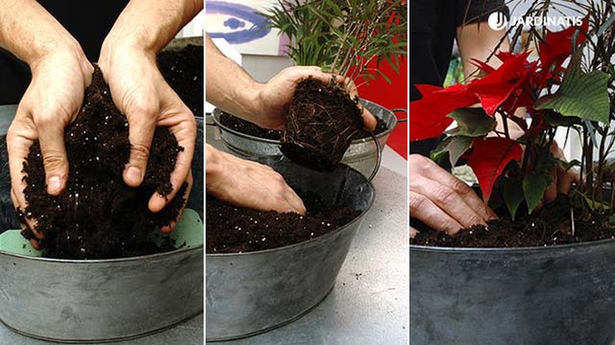 centros florales con bayas deco 074 jardinatis 1