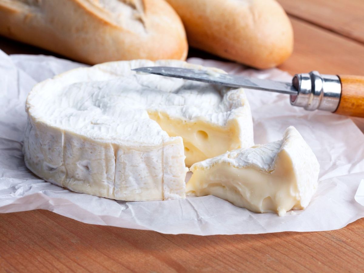 Queso camembert