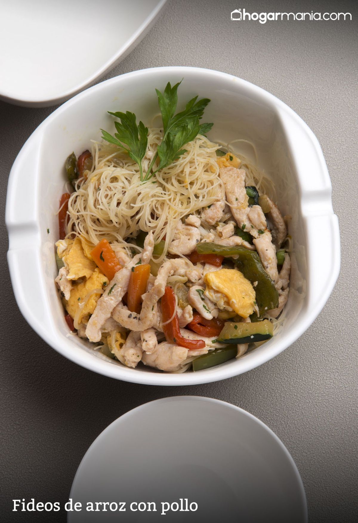 6026 1 Fideos de arroz con pollo (1388) vertical xl2