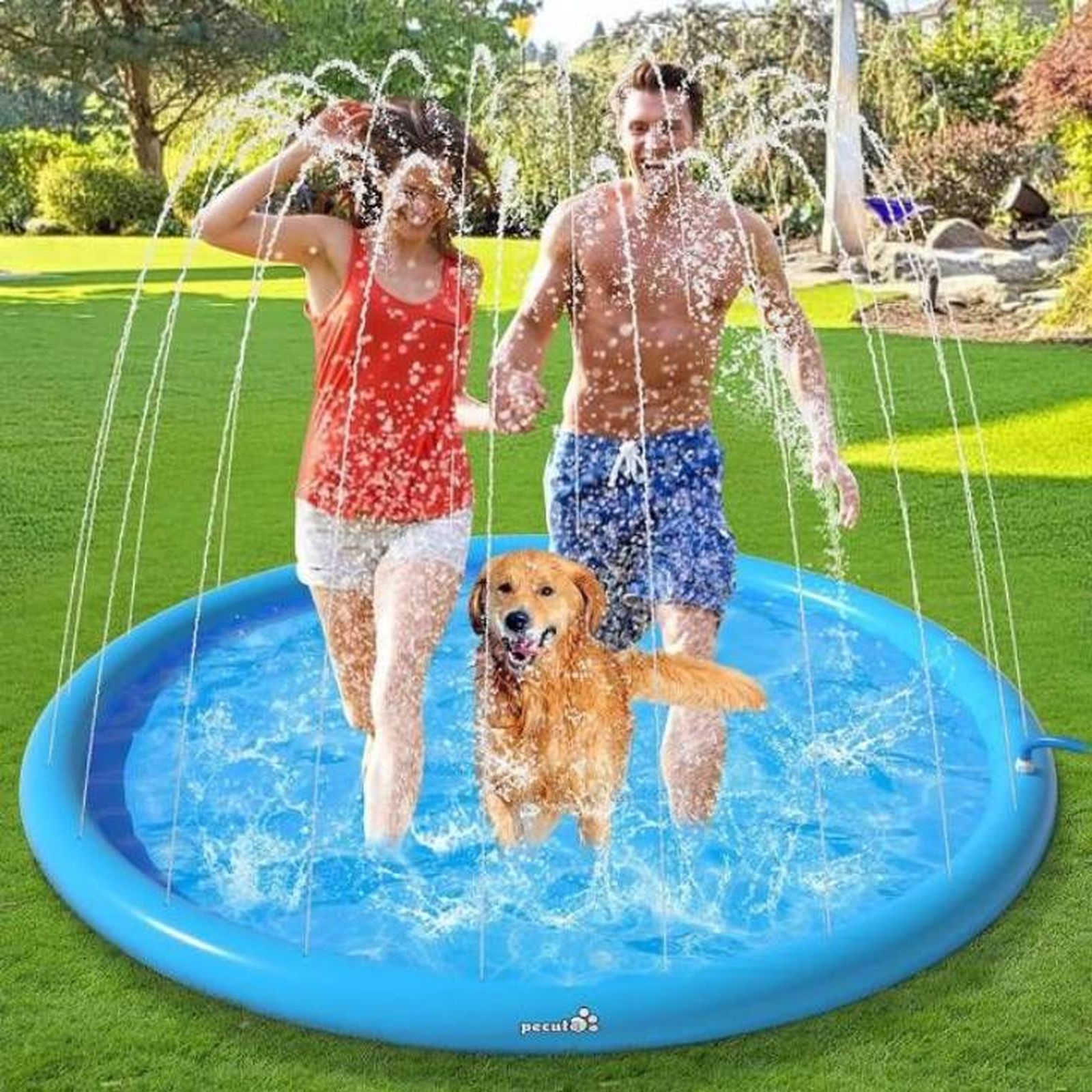 Perro y dueños refrescándose en una piscina Perro y dueños refrescándose en una piscina