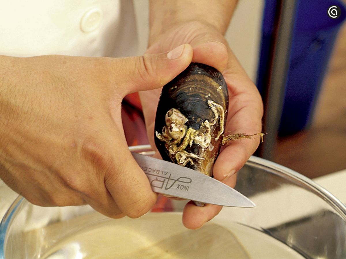Raspa la superficie del mejillón con un cuchillo