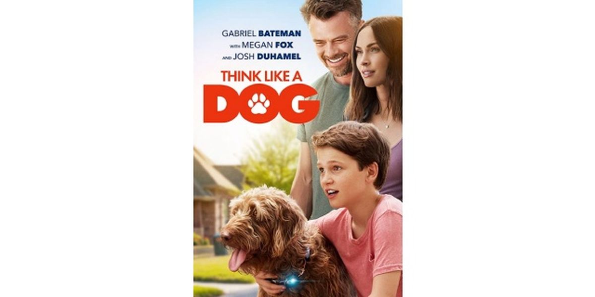 peliculas de perros mente canina