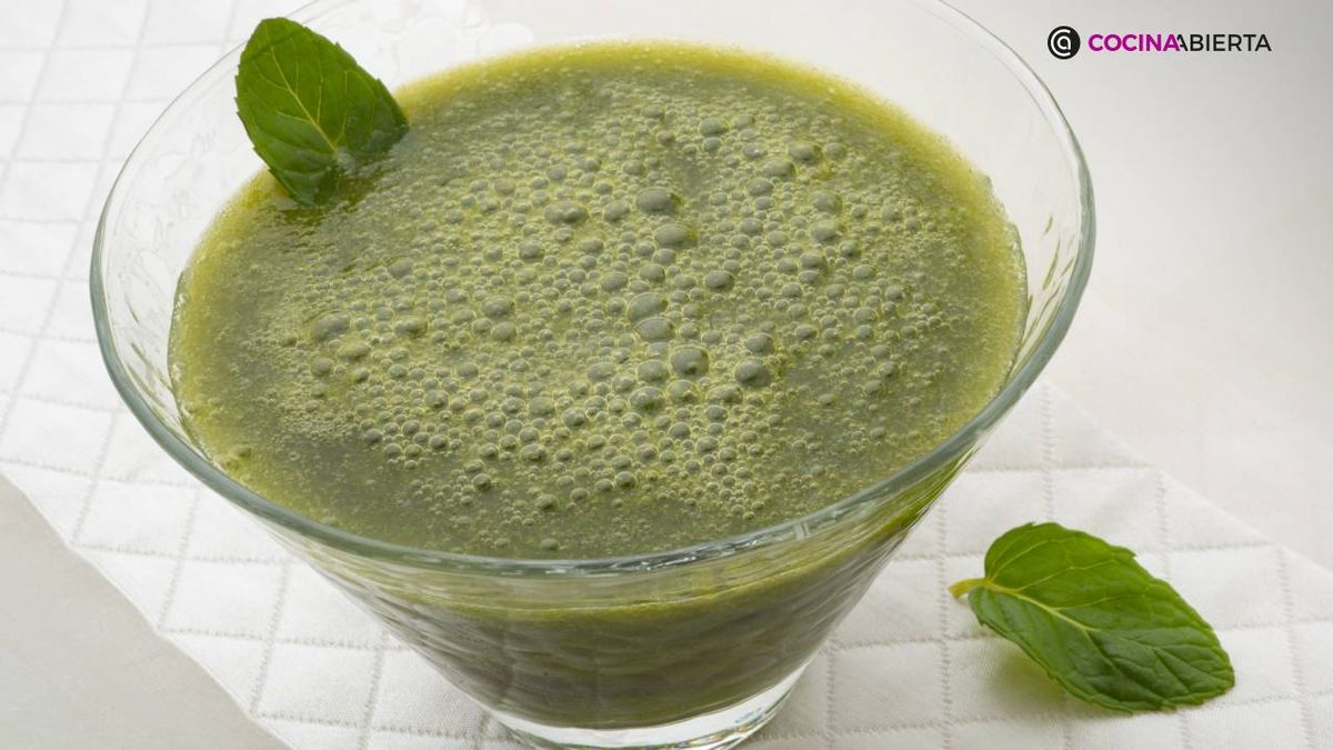 karl7135 batido lechuga xl