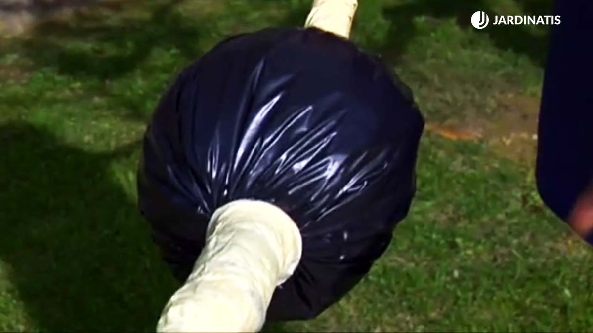 que es el acodo y como se hace brico 750