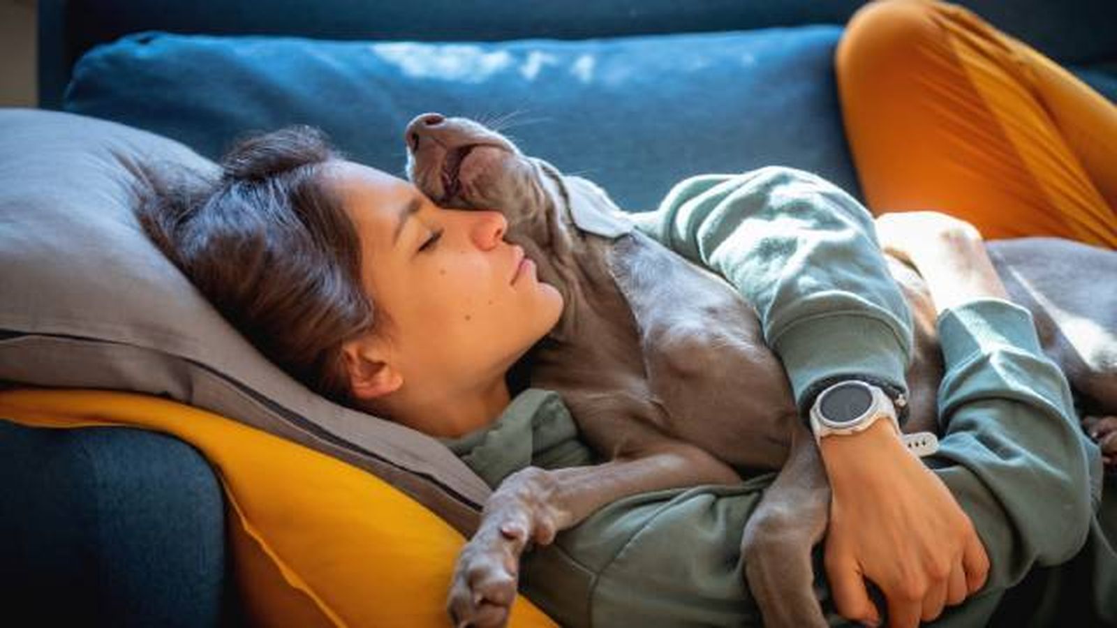 dormir con perro dormir con perro