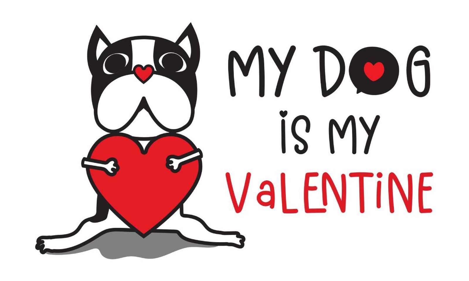 Tener un gesto especial con nuestra mascota en San Valentín es importante.