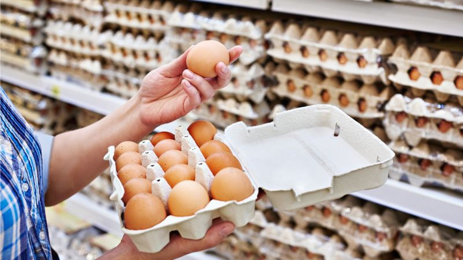 Huevos frescos de supermercado Huevos frescos de supermercado