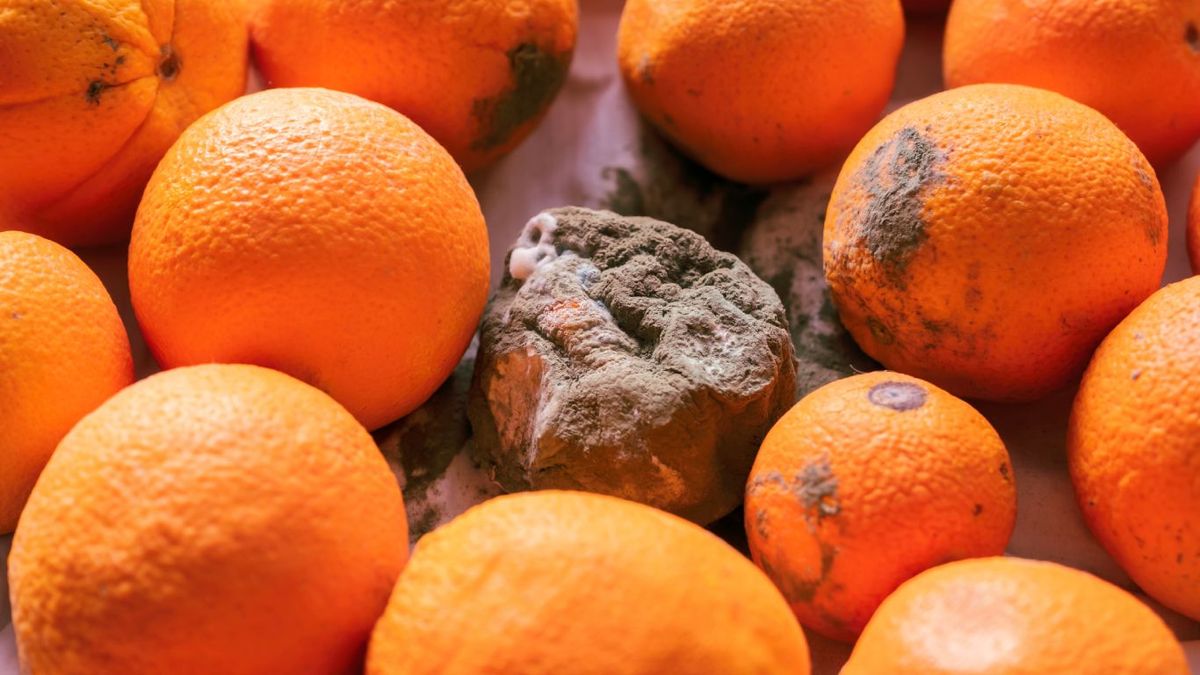 Cómo conservar fruta y verdura