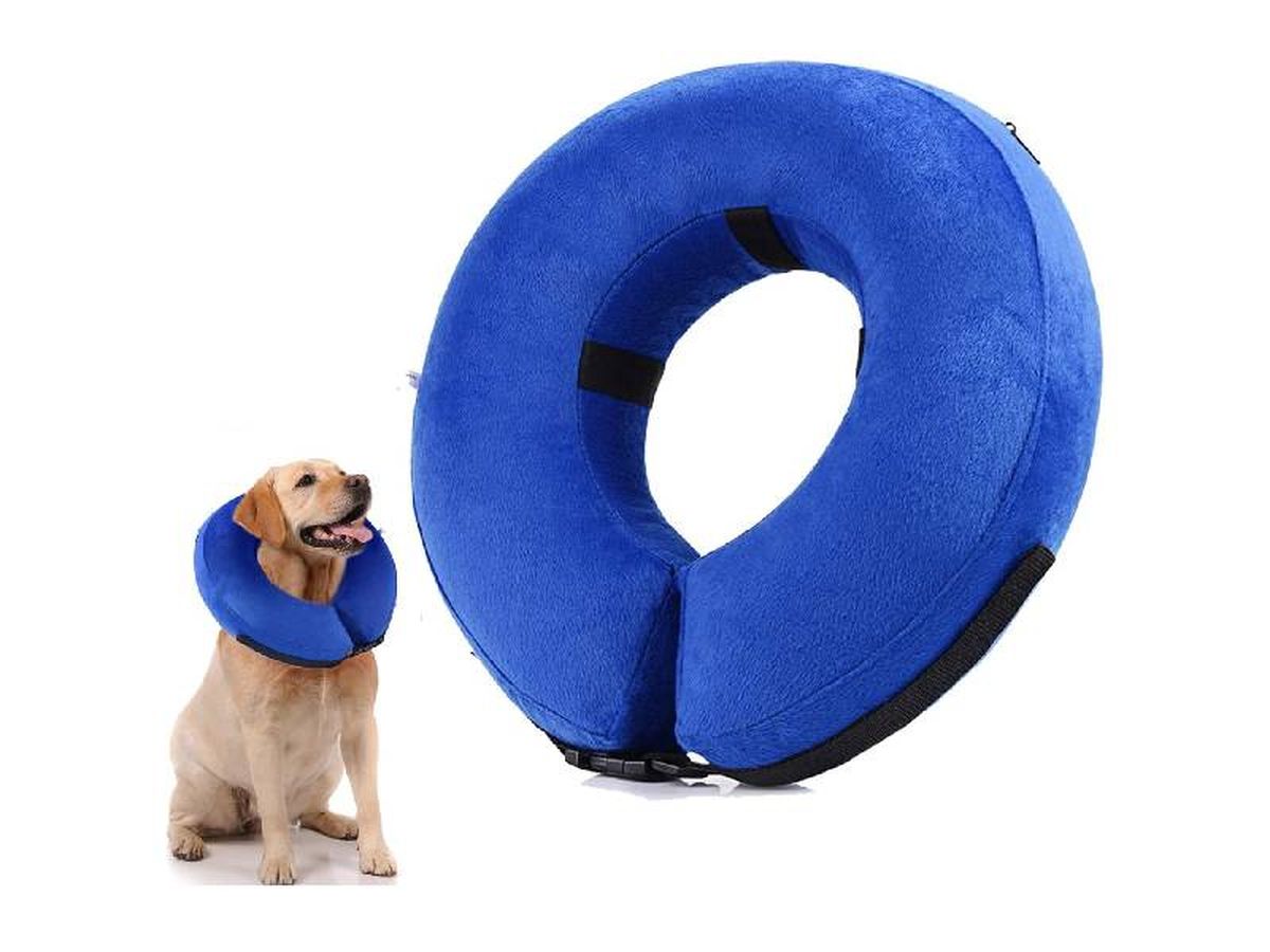 Collar de recuperación Inflable para perros YAMI.