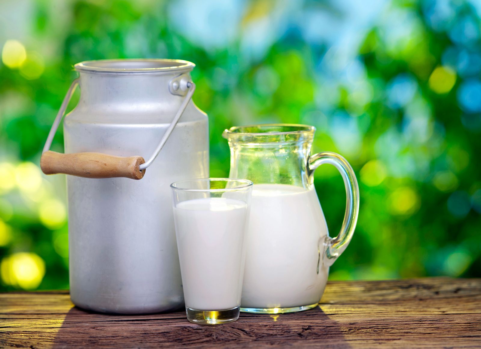 leche xl leche xl