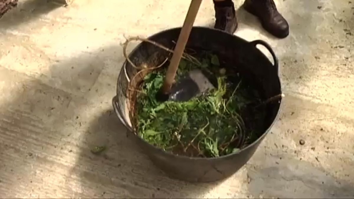 brico 709 jardin insecticidas ecologicos ortiga dejar macerar