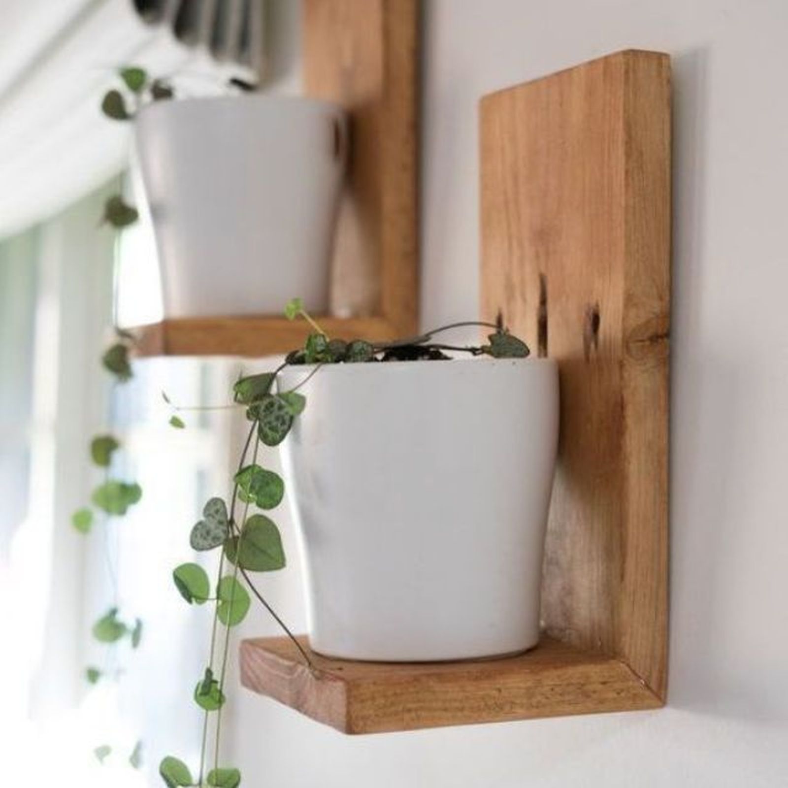 caja de vino tranformada en balda para plantas caja de vino tranformada en balda para plantas