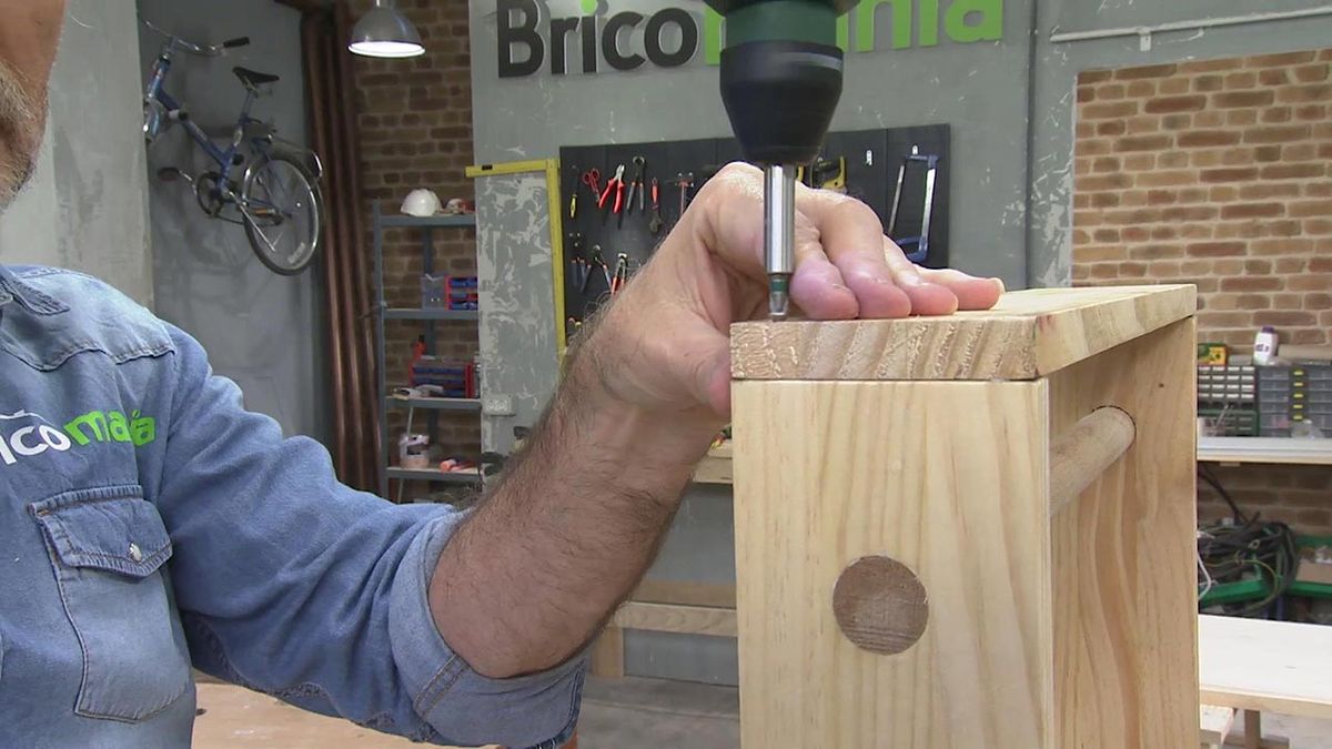 Como hacer un galan de noche paso 9