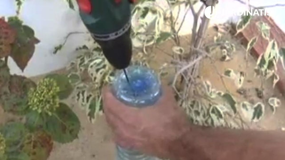 sistema riego casero con botella plastico