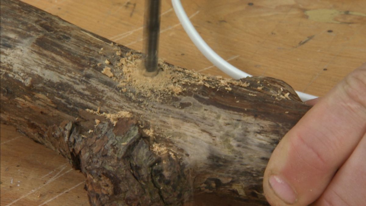 Lámpara silvestre paso 6