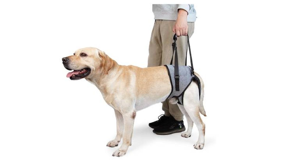 arnes ortopedico dotoner amazon