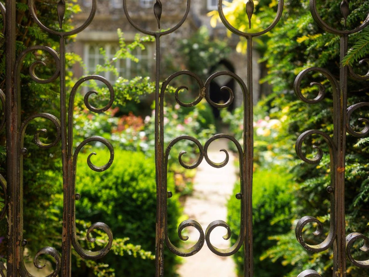 Realidad: Las caléndulas no son el repelente universal que mucha gente cree.