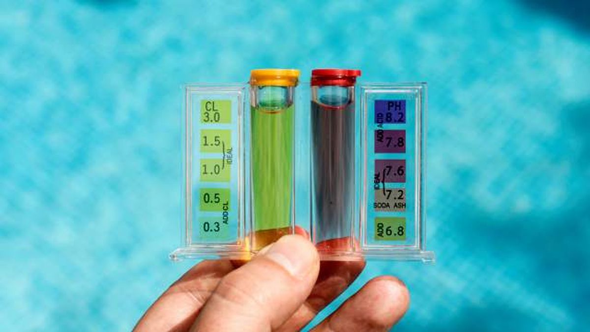 como quitar las algas de la piscina 1