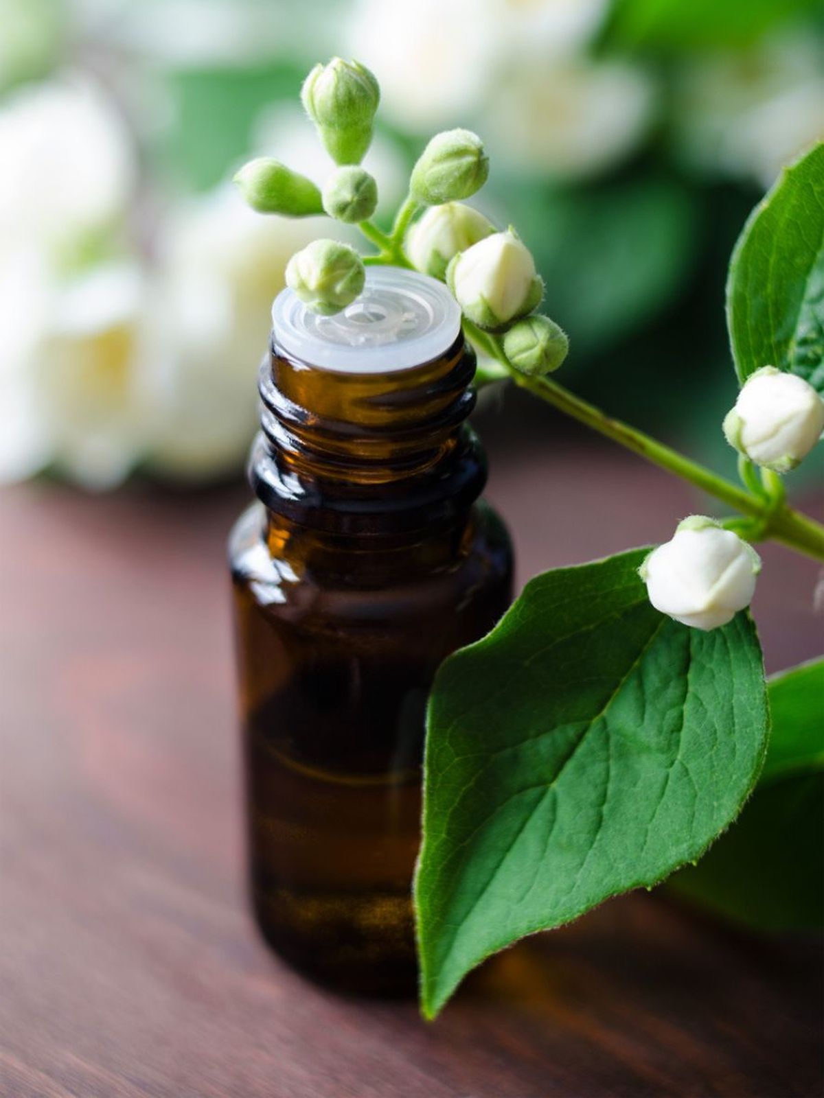 aceite esencial jazmin