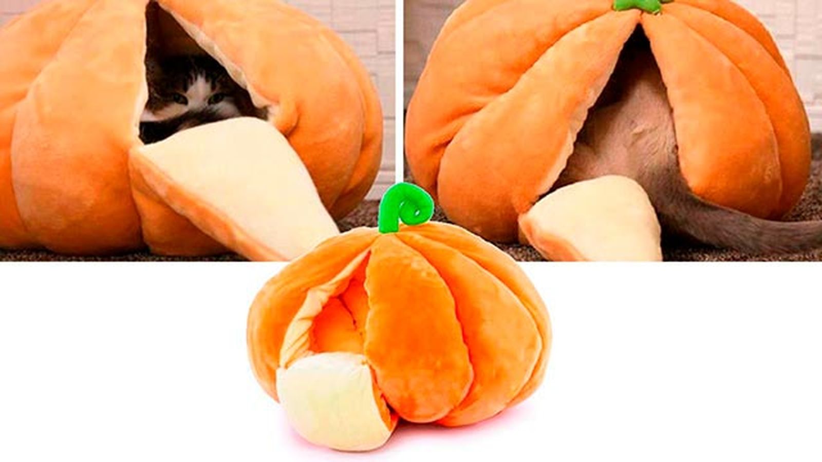 halloween1 cama calabaza gato