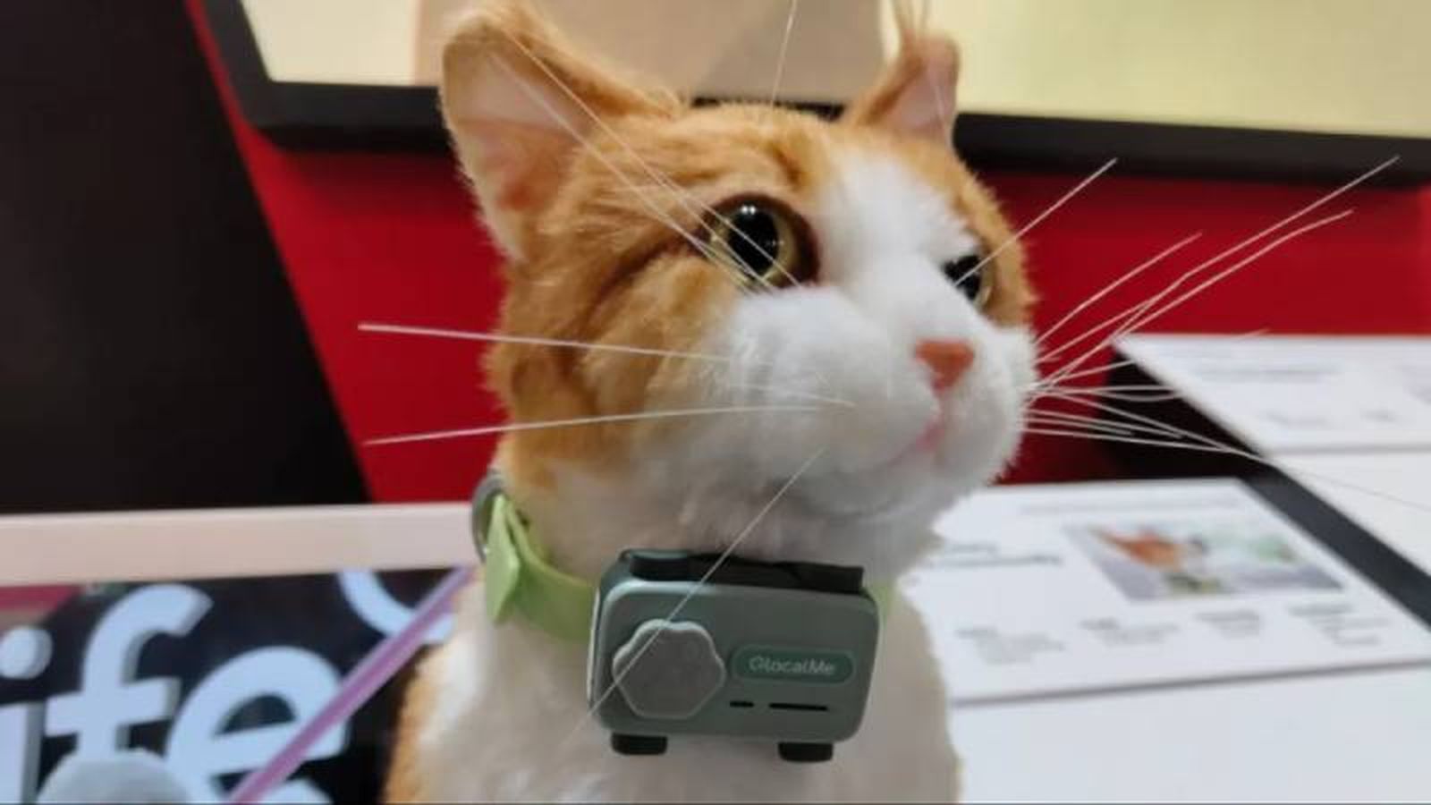 Un dispositivo de comunicación bidireccional con tecnología de inteligencia artificial, GPS y monitoreo de actividad. Un dispositivo de comunicación bidireccional con tecnología de inteligencia artificial, GPS y monitoreo de actividad.