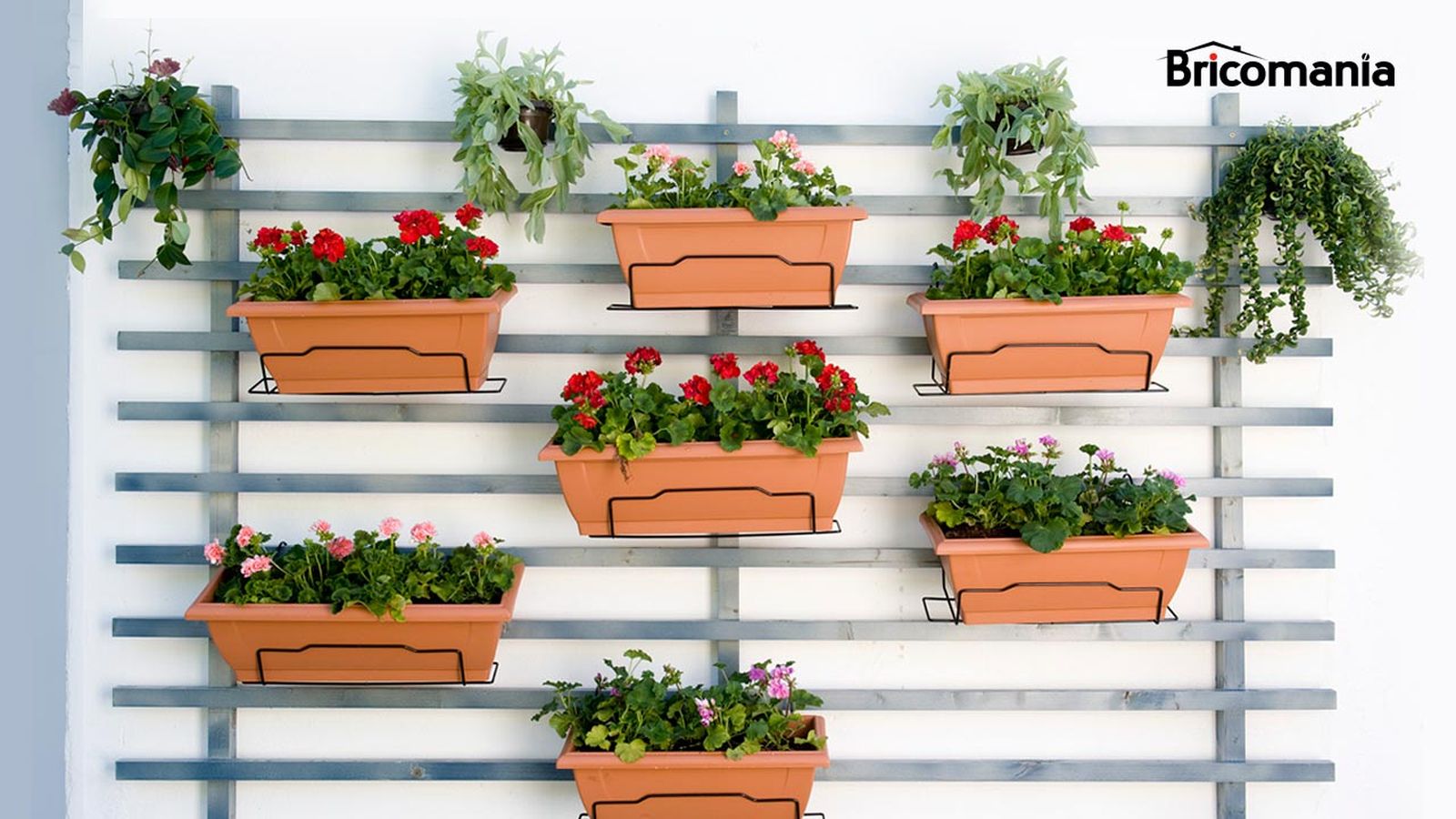 brico 0645 jardin vertical xl brico 0645 jardin vertical xl
