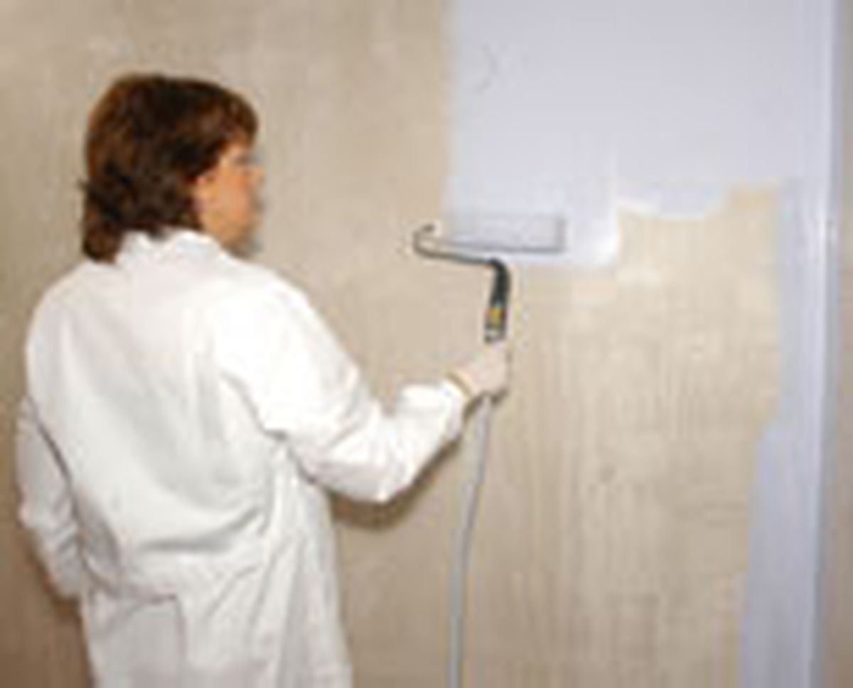 368 rodillos para pintar p6