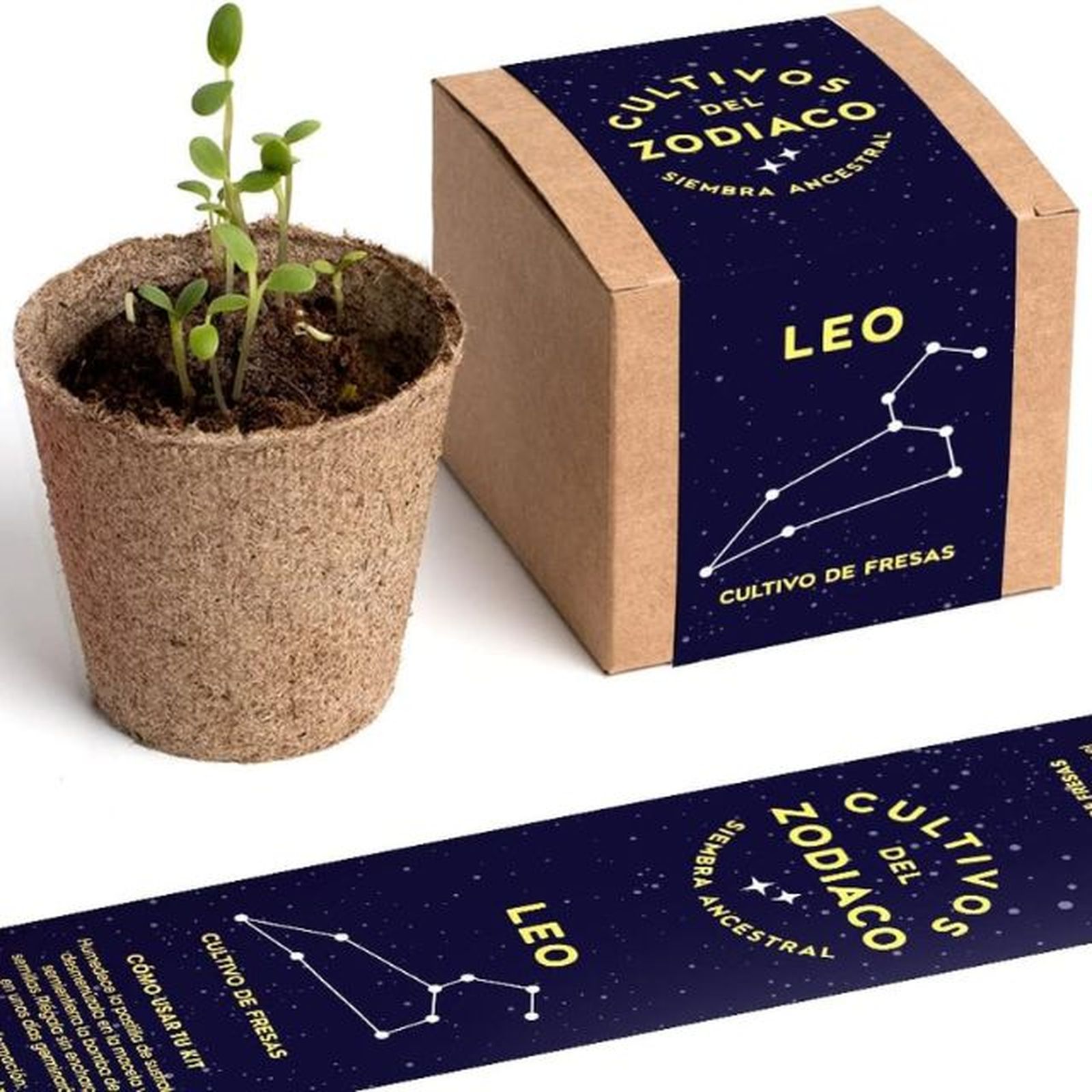 kit autocultivo leo resetea kit autocultivo leo resetea