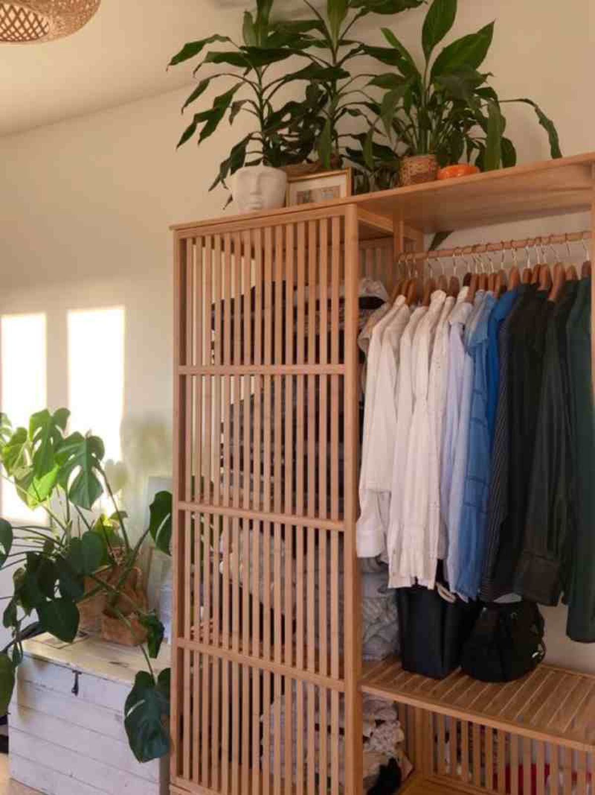 Plantas encima de un armario